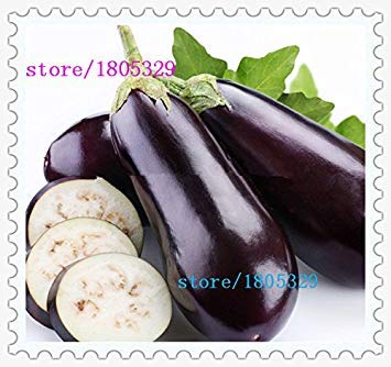 Schwarz: Erbstück 100 Auberginensamen Gemüse Essbare Landschaftsgestaltung
