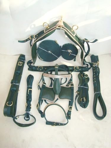 Premium Nylon Horse Cart Driving Harness Set, Complete Equestrian Tack with Reins and Bridle Pony, Cob, Full & Shetland Green (Cob)