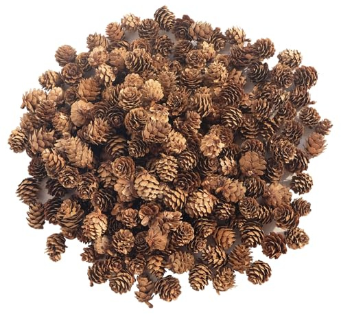 200PCSPine Cones Christmas Natural Pinecones Small Pine Cones for Home Party Crafts Gift Wedding Christmas Tree Decoration