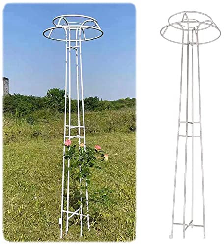 Grand Treillage Décoratif Extérieur, 205 Cm De Haut Treillis De Roses Antirouille, Cadre d'escalade Résistant Aux Intempéries, pour Décoration Florale De Plantes Grimpantes, Noir, Blanc