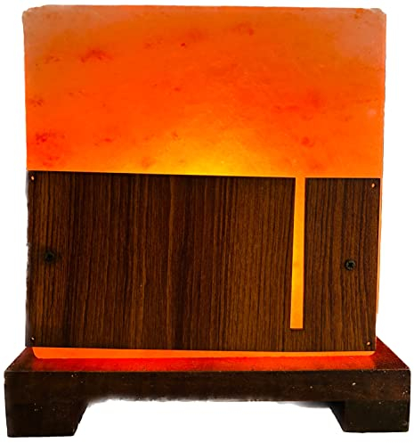 Generic SudoreWell® SW1002slfrshad01 - Lampada in cristallo di sale Shadow con base in legno della Salt Range Pakistan di Salzarena