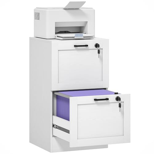 HOMCOM 2 Drawer File Cabinet with Lock, Vertical Filing Cabinet with Adjustable Hanging Bars for A4 and Letter Size File Folders, Printer Stand with Storage, White