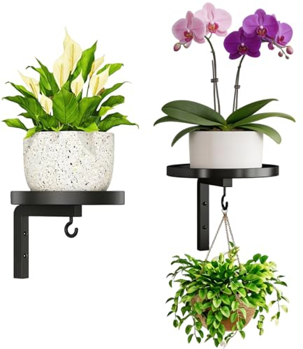 Lot de 2 supports muraux à suspendre pour plantes et plantes à plusieurs étages - En métal - Pour plantes d'intérieur et décoration - Pour l'intérieur et l'extérieur - Pour balcon, salon, terrasse