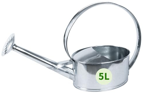 TTL Garden Regadera de metal galvanizado de 5 l, regadera de zinc con alcachofa de riego desenroscable, volumen de 5 l, ovalada, de zinc inoxidable, acero galvanizado, chapa plateada, resistente,