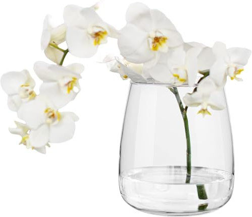 SPEACOUR Glasvase groß Blumenvase Vasen aus Glas Höhe: 19,5 cm Tulpenvase Flower vase Hochzeitstulpen Weite Öffnung Ø 11 cm blumenvase modern Tulpen Vase Glas Vase für Tulpen Pampasgras Zinnie