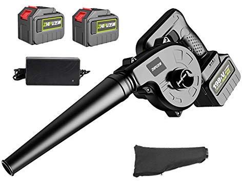 ACXZ Souffleuse à Feuilles et aspirateur électrique sans Fil, 2 Piles au Lithium et Chargeur, pour Ordinateur, Voiture, Poils d'animaux, avec Sac de Collecte