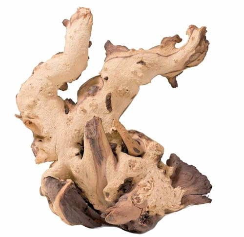 Biotope Aquatics Ltd Aquarium Sinkable Mopani Driftwood - Various Sizes - Natural Bogwood Fish Tank Wood Decoration Landcaping Java Fern or Moss (15-25cm)