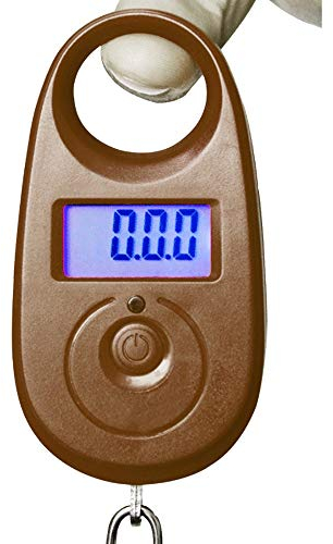 Balances multifonctions, Balance de cuisine électronique numérique portable, 1pc Pratique 25kg x 5g Mini Bagage Suspendu Pesant Balance de Paume Crochet Numérique Affichage LCD Balance de Précision Pr