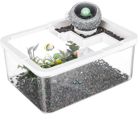 Aquariums pour Poissons Betta | Décoration De Table Basse avec Aquarium | Écosystème avec Pompe USB pour Poisson Betta, Crevettes, Aquaponie Et Décoration Étagère