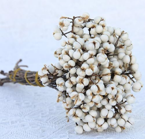 Bacche di sebo secche 220 grammi, bacche di tallow lunghe agrifoglio, piante secche, decorazioni floreali, gambi di bacche naturali, bouquet per casa, ufficio, matrimonio, festa, fai da te