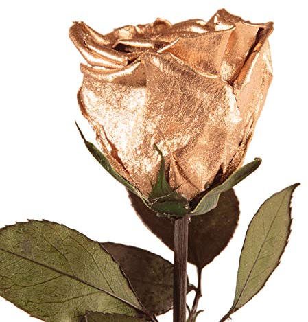 ROSEMARIE SCHULZ Heidelberg Infinity Rose Gold mit Stiel - echte Rose konserviert 45-50cm haltbar 3 Jahre - langlebige Rose 50 Jahre Jubiläum goldene Hochzeit Geschenke und goldene Deko (Gold)