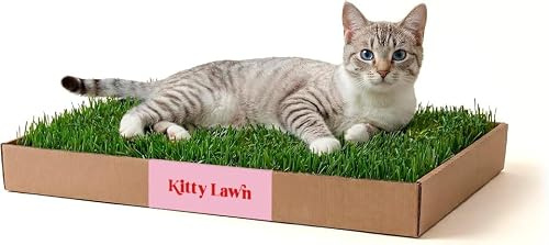 Kitty Lawn Real Grass Cat Window Perch - Natural Indoor Lounger for Large & Small Cats - California Grass - 24x9 Inch - USA Grown