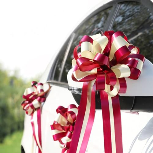 10 Stück Geschenkschleife,Geschenkschleifen Große Ziehschleife Geschenk,Geschenkschleife Groß 18cm Geschenkschleife 50cm Länge Dekoschleife Geschenk Schleife für Hochzeit Party Feier