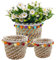 KMERCE Set of 3 Wicker Plant Pot Covers, Indoor Plant Basket, Decorative Seagrass Garden Flower Pots, Storage Basket, Diameter 12 cm, 17 cm, 23 cm