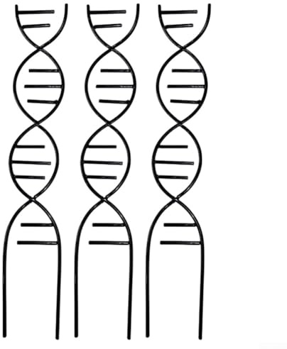 Artistic DNA Treillis pour plantes grimpantes d'intérieur, piquet de support en métal en spirale pour Pothos Monstera et Philodendron, cadre de plante en pot pour encourager la croissance verticale en