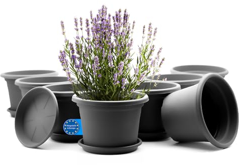 BigDean 8 Stück Blumentopf mit Untersetzer rund ø 25 cm Anthrazit – wetterfester Pflanzkübel Made in Europe