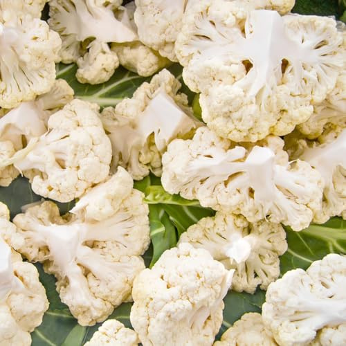 semillas de coliflor silvestre, raras, variedades antiguas. orgánicas, 80pcs