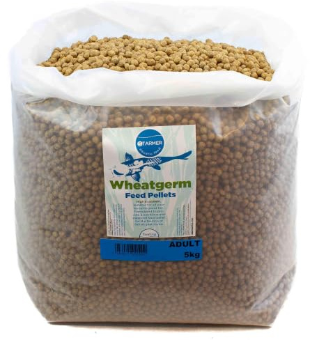 Wheatgerm floating winter koi feed pond pellets with spirulina (adult) 5kg