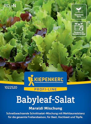 Kiepenkerl Profi-Line Babyleaf-samen Maraldi Mischung 1022520 – Das perfekte Saatgut für schnellwachsende Schnittsalate mit Mehltauresistenz für die gesamte Freilandsaison.