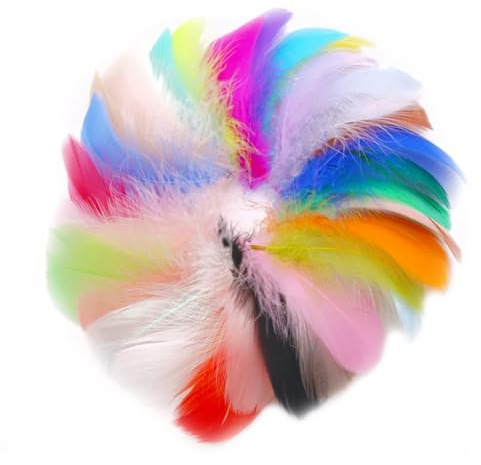 Tabanzhe 100 Colorful Dreamy Feather Decorations Natural Craft Feather Ornament for DIY Dream Catcher Costumes Wedding Holiday Crafts Carnival/Wedding/Party Decor Gift Box Filling(Multicolor)
