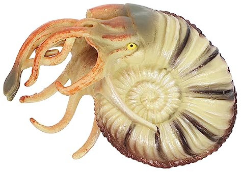 BESTonZON Ocean Animals Toy Set Nautilus Model Mini Sea Creatures Educational Learning Toy for Boys and Girls'