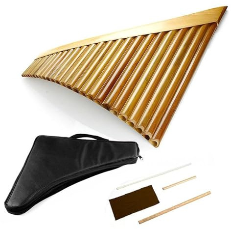 Professionellt instrument 25 rörs panflöjt C tangent