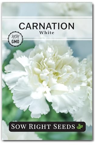 Sow Right Seeds - White Carnation Seeds for Planting - Grow Beautiful Dianthus Blooms in Your Garden - Perfect for Growing Outdoors or Using for Bouquets - Non-GMO Heirloom Vibrant Garden Flowers (1)