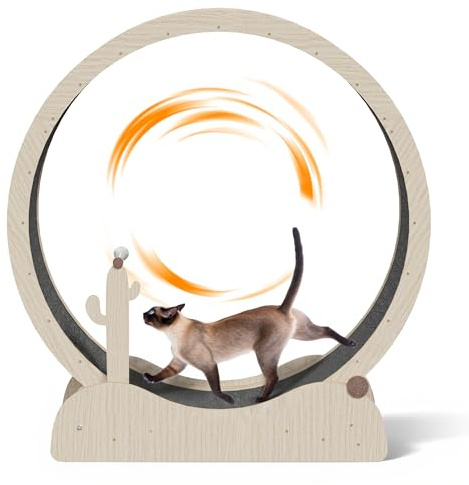 Epetlover Cat Exercise Wheel, Large Treadmill for Indoor Cats 47 Inch Cat Running Wheel with Detachable Carpet for Running/Walking/Training, Lockable