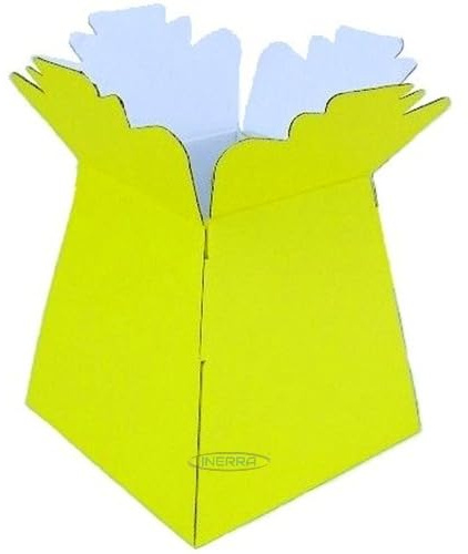 INERRA Florist Boxes - Living Vases for Flower Bouquet Box Making - Pack of 10 (Yellow)