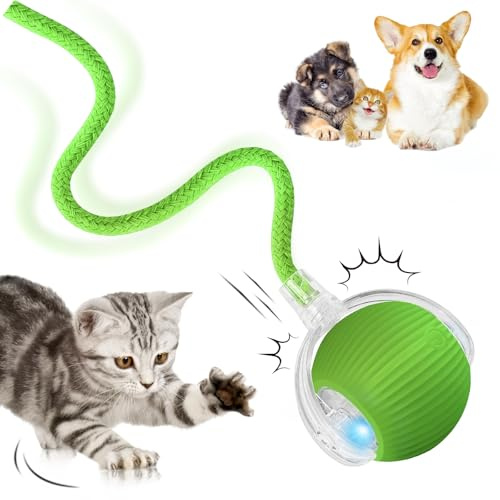 DAMIGHT Jouets interactifs pour chat, jouets électriques automatiques pour chats d'intérieur, balle intelligente pour chien roulant à 360°, balle de jeu pour chat en mouvement avec queue, jouet pour