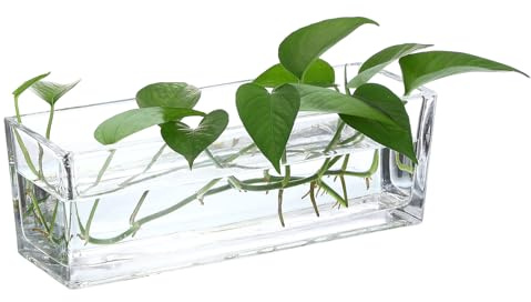 PATIKIL Jarrón De Vidrio Rectangular 30x10x10 cm, 1 Pc Terrario Transparente para Bodas