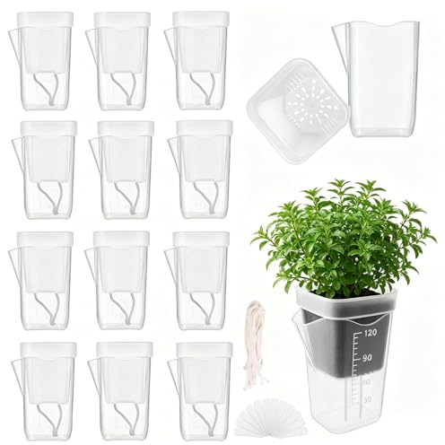 Jadyon Macetas Autorriego Transparentes Mini de Doble Capa, Set de 12 con Sistema de Riego de Plástico, Núcleo de Algodón Fino, para Plantas de Interior, Hierbas, Alocasia, 10x10x7 cm