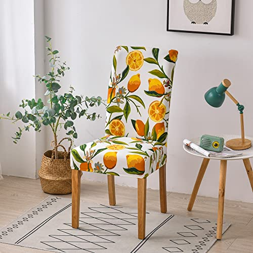 Highdi Coprisedie con Schienale Elasticizzato, Fodere Sedie Lavabile Universale Rimovibile Copri Sedie Sala da Pranzo Coprisedia per Hotel Banchetto Casa Décor (4 Pezzi,Limone Giallo)