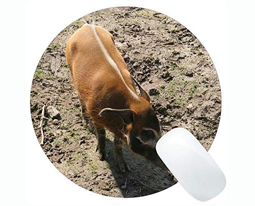 Baby Pig Round Mouse Pad Mat,Brush Ear Pig Round Mouse Pad Mat