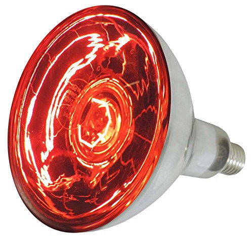 Eider lampada a infrarossi 150 e 250 Watt a scelta – E27 – ottima qualità