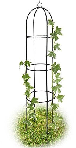BAKAJI Supporto per Piante Rampicanti Obelisco Arco da Giardino Altezza 185 cm Colore Verde Scuro