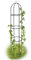BAKAJI Supporto per Piante Rampicanti Obelisco Arco da Giardino Altezza 185 cm Colore Verde Scuro