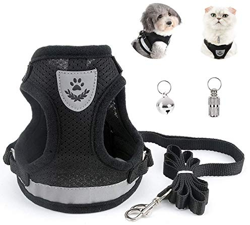 BOJLY Katzengeschirr mit Leine Ausbruchsicher, Katzenleine mit Geschirr für Katzen, Sicherheitsgeschirr Hund Ausbruchsicher, miti Anti-verloren Glöckchen und Adressanhänger für Hunde und Katzen, S