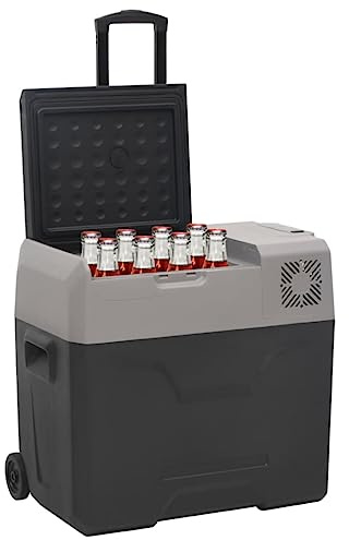 Tomostar Glacière Électrique, Glacière à Compression Mini Réfrigérateur de Voiture Camping avec roue et poignée noir et gris 30 L polypropylène