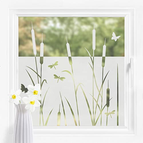 Bilderwelten Fensterfolie Sichtschutz Schilf Libellen 60 x 80 cm Milchglasfolie Sichtschutzfolie Fenster Folie Blickdicht Anti-UV Statisch Haftend Querformat