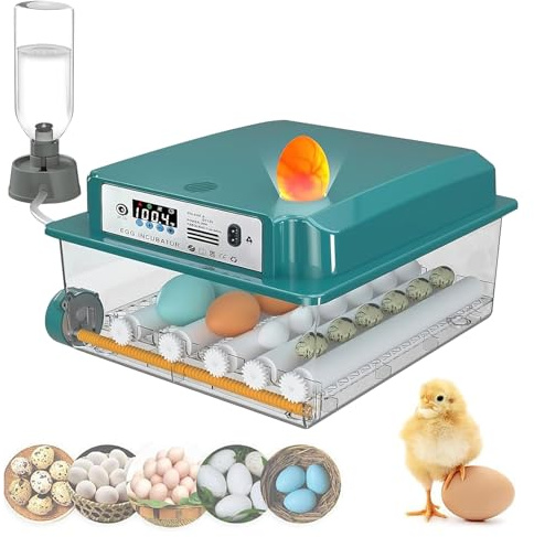 Incubadora Huevos Gallina, Incubadora Automática de 10-36 (Opcional) Huevos, Incubadora de Huevos con Control de Temperatura, Adición Automática de Agua, Volteador Automático de huevos (16 Huevos)