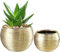 pdodo Gold Blumentopf Keramik, Dekorierten Übertopf, Blumentöpfe für den Innenbereich für Sukkulentenn,Runde Orchideen-Blumentöpfe, Blumentöpfe für Schlangenpflanzen, Kräuter im Innenbereich