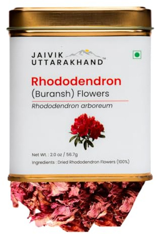 Jaivik Uttarakhand - Organic Rhododendron Tea (02 oz / 56.7 g) Loose Leaf, Herbal Buransh Flower, Dried, Earthy Floral Taste with Tanginess, Wellness, Decaf, Pack of 1 Tin Box