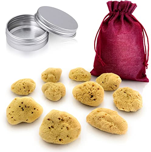 tom&pat Menstruationsschwamm, Alternative zu Soft-Tampons, Dermatest: Sehr gut, Wechseldose für unterwegs, Naturschwamm als Perioden-Schwamm, waschbar & wiederverwendbar (Gr. M, 10 x 5-7 cm)