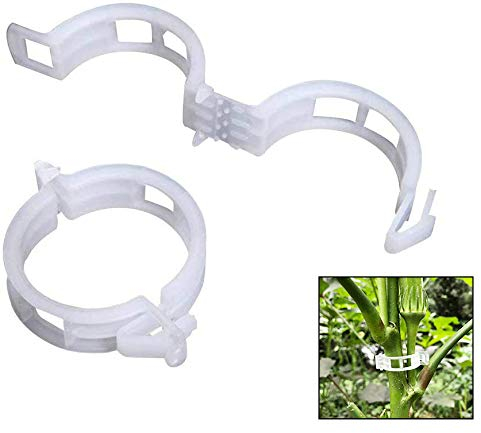 auvstar Plante Clips,plastique, pinces, clips à suspendre, clips de vigne, Vigne Clipsplant Clips support tomates, poivrons, Vigne plantes et fleurs de développement Droit, (100 pces)