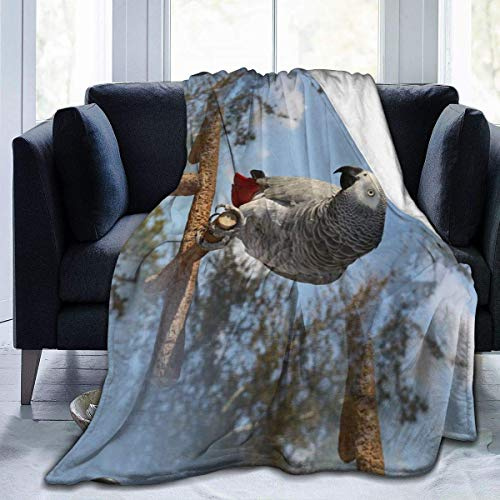 Stunning African Grey Parrot Blanket Flannel Fleece Throw Blanket Cozy Plush Bed Warm Blanket Conditioning Blanket for Couch Sofa Room Home Office Adults Or Kids,All Seasons 50x40