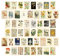 Dazzlewall 50 Stück Vintage Wandcollage Set, Ästhetische Bilder für Schlafzimmer Wohnzimmer, Vintage Botanische Wandbilder VSCO Wand Poster Beidseitiger Druck