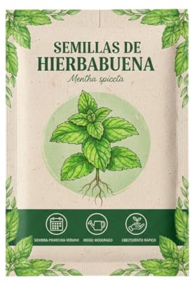 Menta Hierbabuena Natural en Semillas para Terraza DECOALIVE