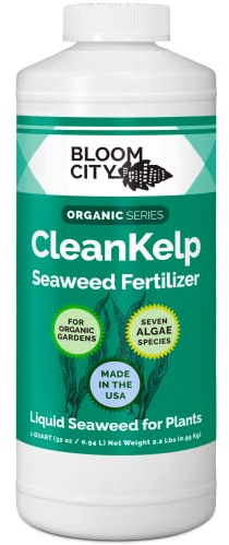 Bloom City Seaweed and Kelp Fertilizer – Liquid Seaweed Supplement for Stronger Roots, Faster Growth & Improved Stress Tolerance, 32 oz