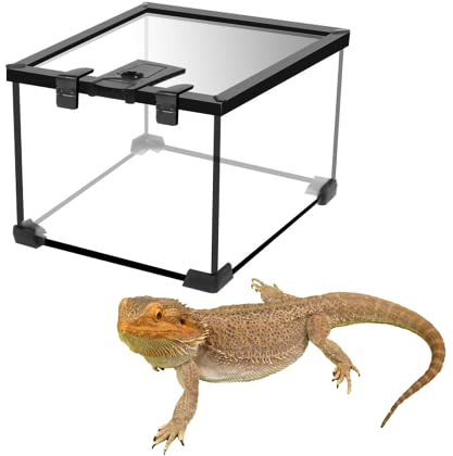 Reptile Tank, Terrarium aus Glas für Reptilien Haustiere Bartagame Gecko Eidechse, Einfache Montage(20 * 20 * 16cm)